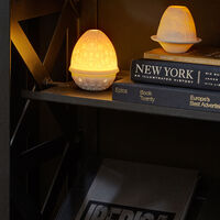 Lithophane Votive Light Parrot Mo12 Lithophane Votive Light Parrot Mo12, small